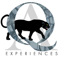 QA Experiences Logo